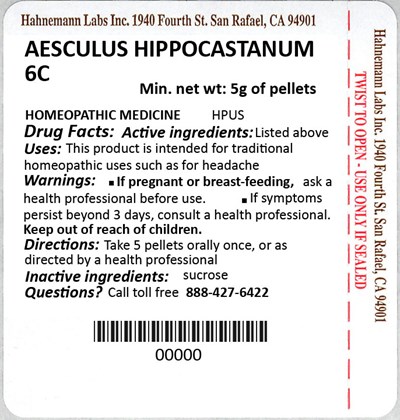 Aesculus Hippocastanum 6c 5g (Aesculus Hippocastanum 6c 5g)